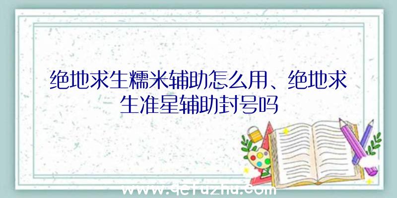 绝地求生糯米辅助怎么用、绝地求生准星辅助封号吗