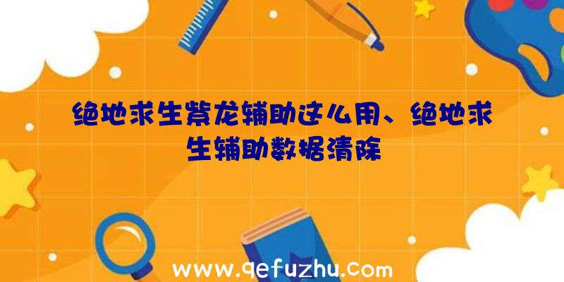 绝地求生紫龙辅助这么用、绝地求生辅助数据清除