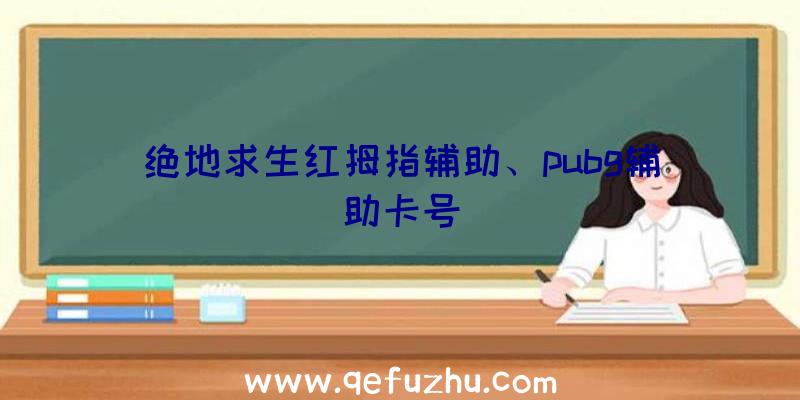 绝地求生红拇指辅助、pubg辅助卡号