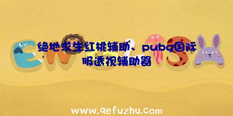 绝地求生红桃辅助、pubg国际服透视辅助器