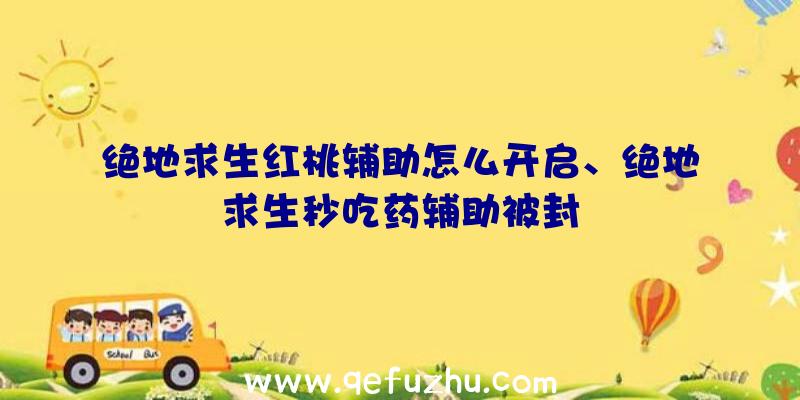 绝地求生红桃辅助怎么开启、绝地求生秒吃药辅助被封