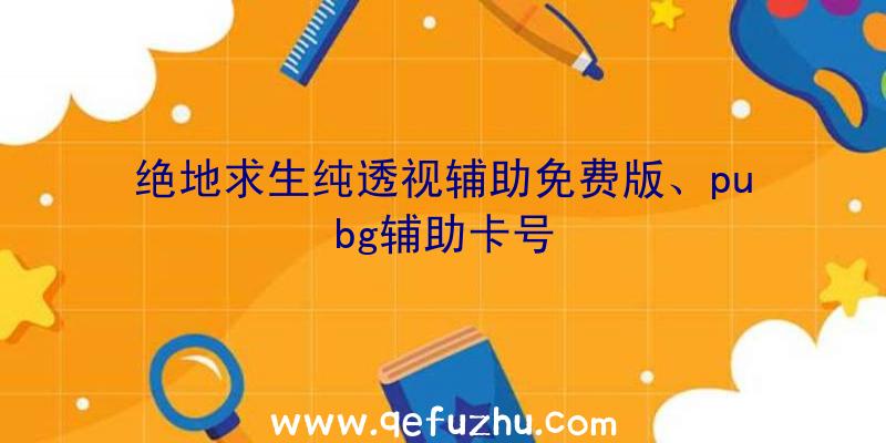 绝地求生纯透视辅助免费版、pubg辅助卡号