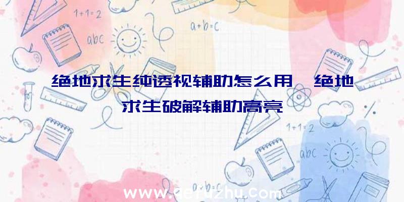 绝地求生纯透视辅助怎么用、绝地求生破解辅助高亮