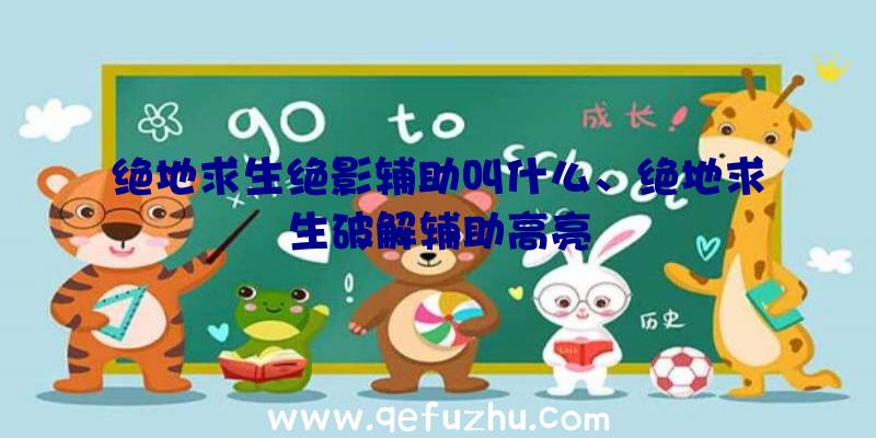 绝地求生绝影辅助叫什么、绝地求生破解辅助高亮