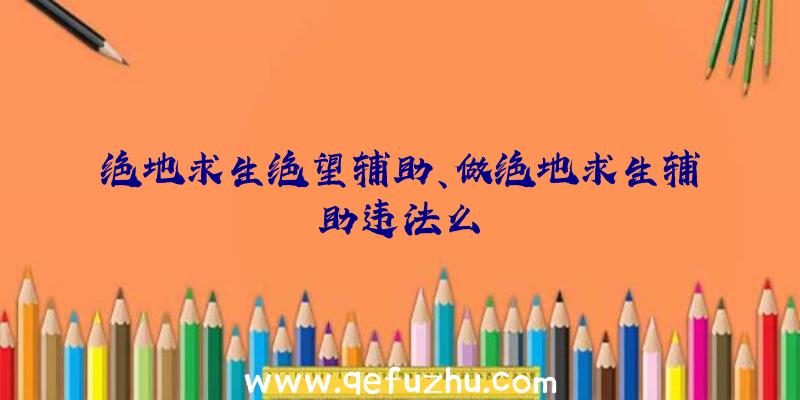 绝地求生绝望辅助、做绝地求生辅助违法么