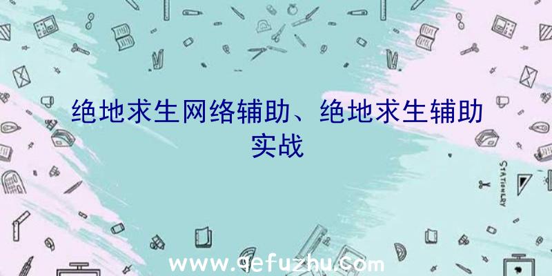 绝地求生网络辅助、绝地求生辅助实战