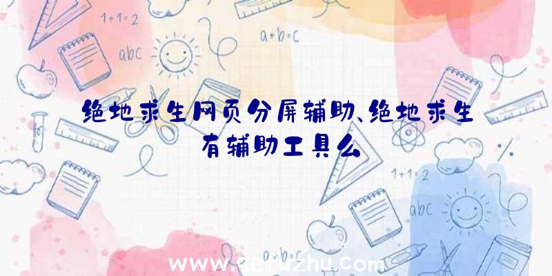 绝地求生网页分屏辅助、绝地求生有辅助工具么