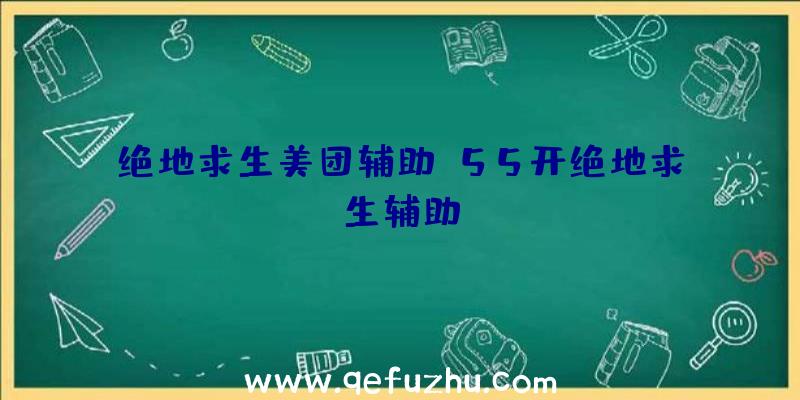 绝地求生美团辅助、55开绝地求生辅助