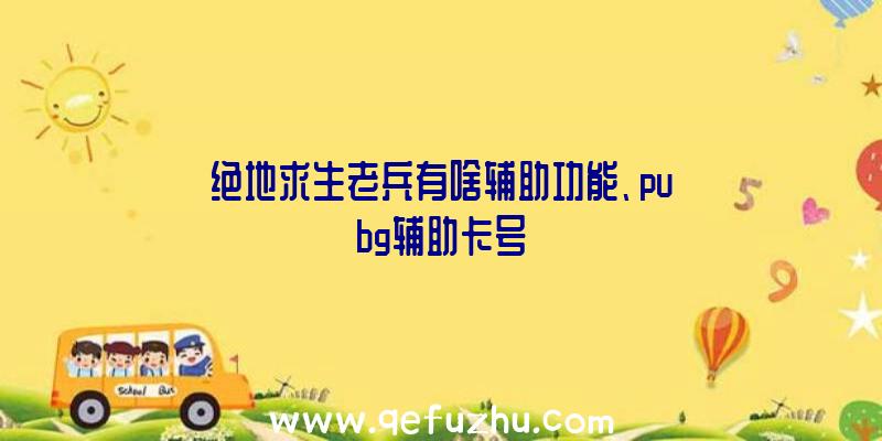 绝地求生老兵有啥辅助功能、pubg辅助卡号