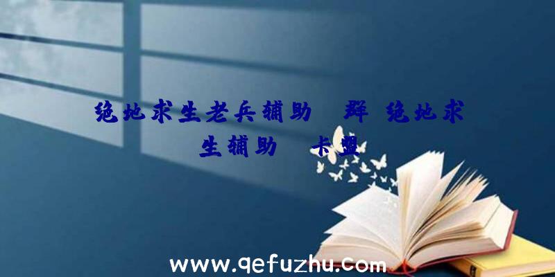 绝地求生老兵辅助qq群、绝地求生辅助fz卡盟