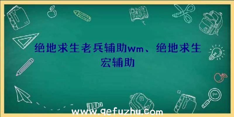 绝地求生老兵辅助wm、绝地求生宏辅助