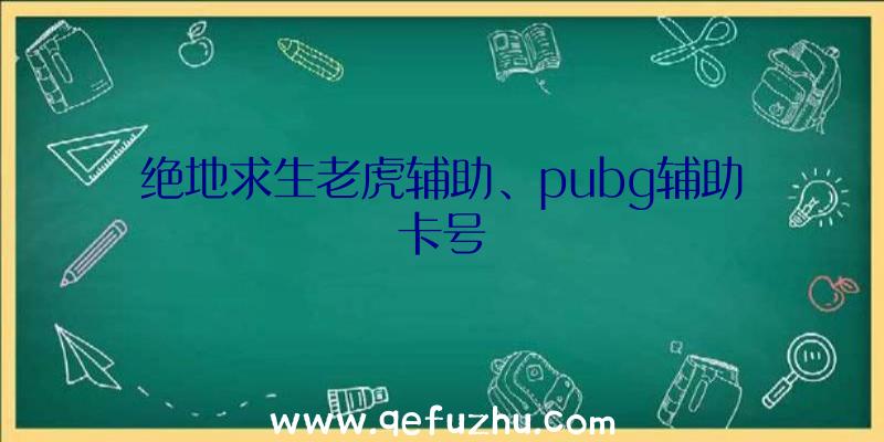 绝地求生老虎辅助、pubg辅助卡号