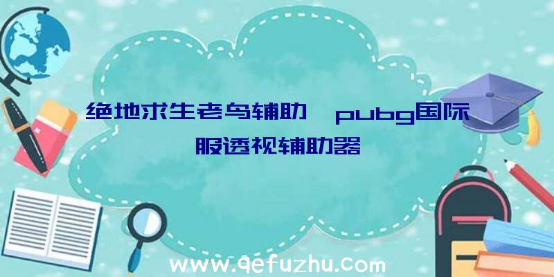 绝地求生老鸟辅助、pubg国际服透视辅助器