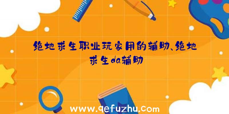 绝地求生职业玩家用的辅助、绝地求生da辅助