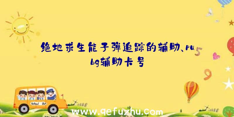 绝地求生能子弹追踪的辅助、pubg辅助卡号