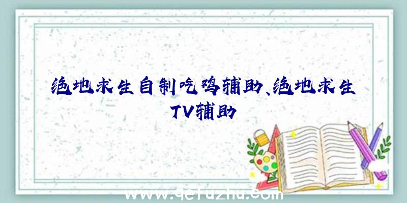 绝地求生自制吃鸡辅助、绝地求生TV辅助