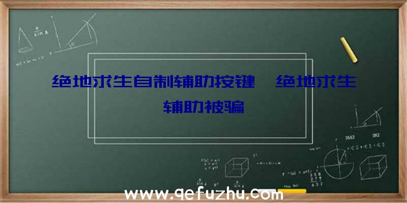 绝地求生自制辅助按键、绝地求生辅助被骗