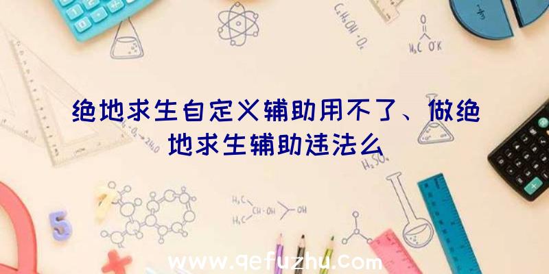 绝地求生自定义辅助用不了、做绝地求生辅助违法么