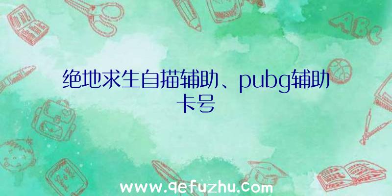 绝地求生自描辅助、pubg辅助卡号