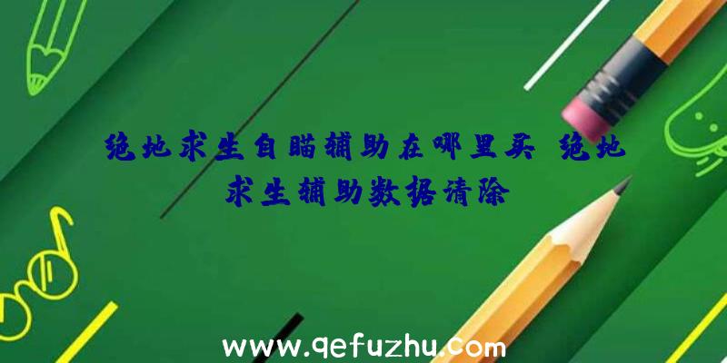 绝地求生自瞄辅助在哪里买、绝地求生辅助数据清除