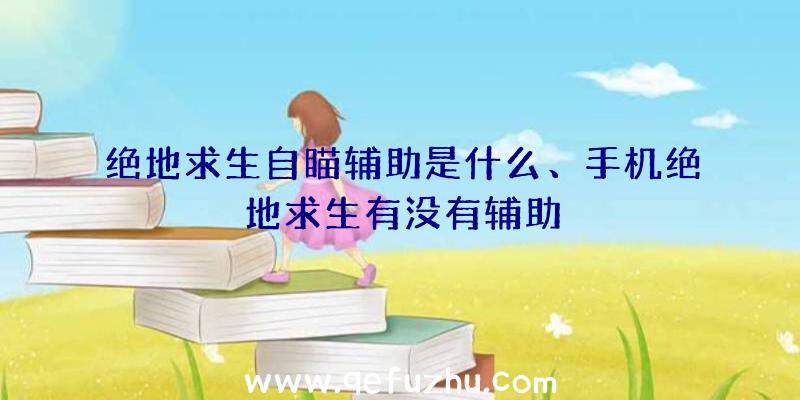 绝地求生自瞄辅助是什么、手机绝地求生有没有辅助