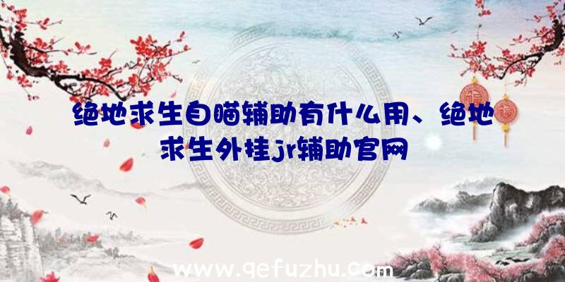 绝地求生自瞄辅助有什么用、绝地求生外挂jr辅助官网