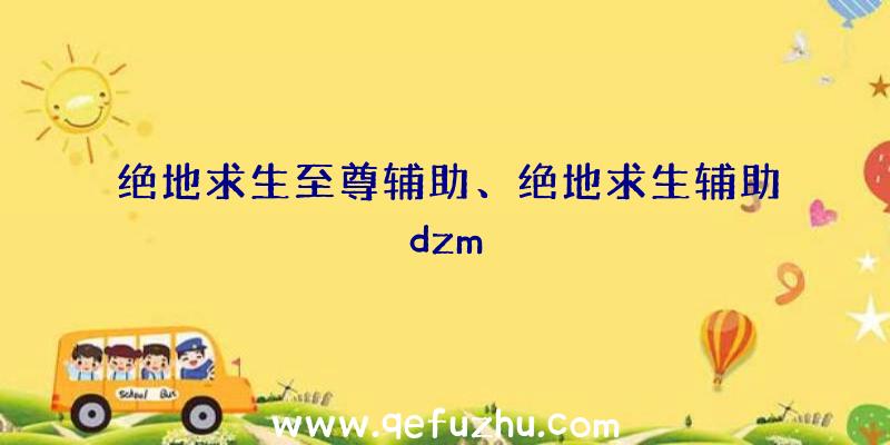 绝地求生至尊辅助、绝地求生辅助dzm