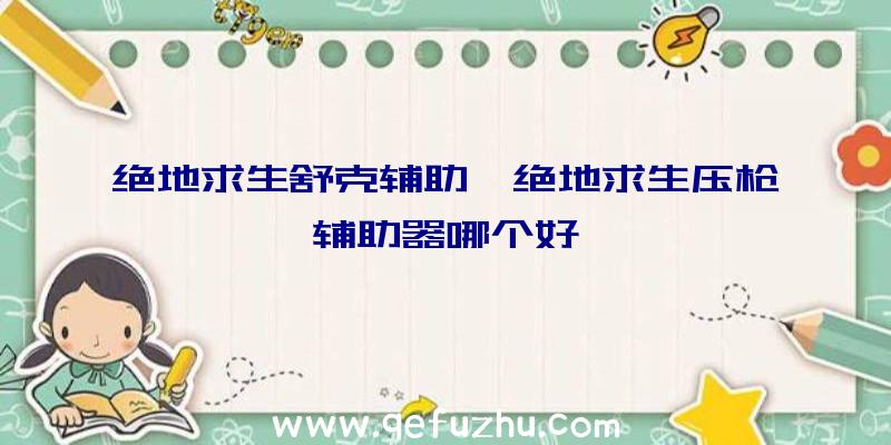 绝地求生舒克辅助、绝地求生压枪辅助器哪个好