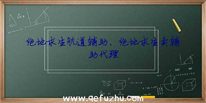 绝地求生航道辅助、绝地求生卖辅助代理