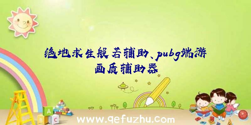 绝地求生般若辅助、pubg端游画质辅助器