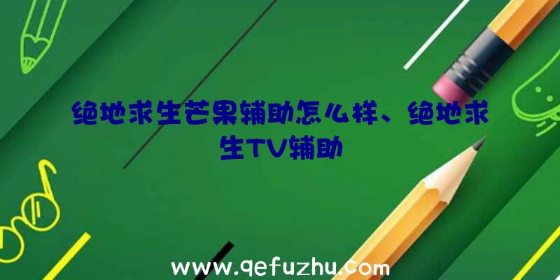 绝地求生芒果辅助怎么样、绝地求生TV辅助