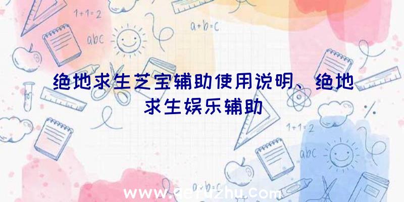 绝地求生芝宝辅助使用说明、绝地求生娱乐辅助