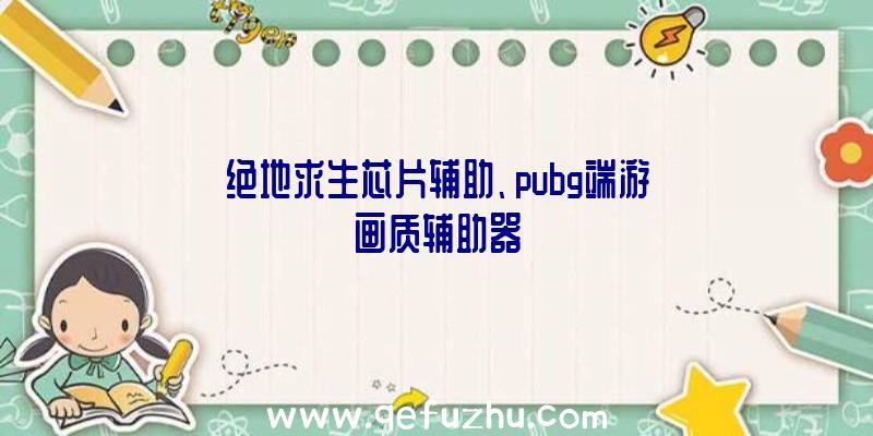 绝地求生芯片辅助、pubg端游画质辅助器