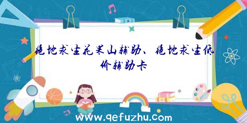 绝地求生花果山辅助、绝地求生低价辅助卡