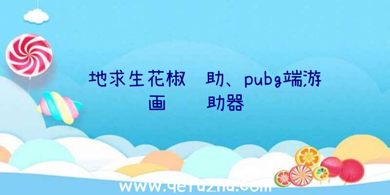 绝地求生花椒辅助、pubg端游画质辅助器