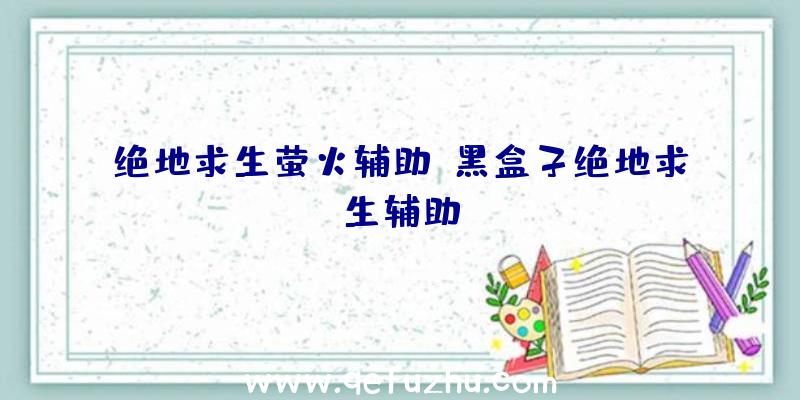 绝地求生萤火辅助、黑盒子绝地求生辅助