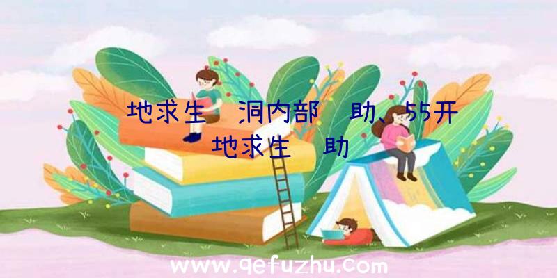 绝地求生蓝洞内部辅助、55开绝地求生辅助