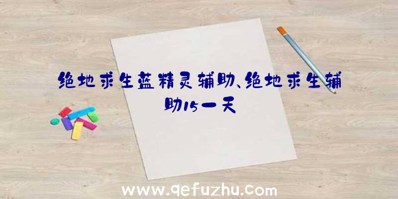 绝地求生蓝精灵辅助、绝地求生辅助15一天