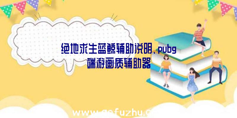 绝地求生蓝鲸辅助说明、pubg端游画质辅助器