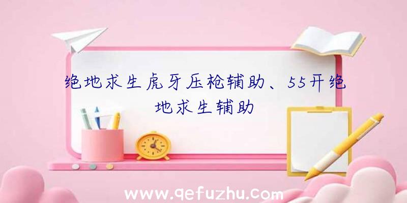 绝地求生虎牙压枪辅助、55开绝地求生辅助