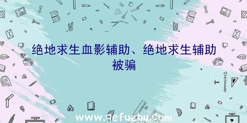 绝地求生血影辅助、绝地求生辅助被骗