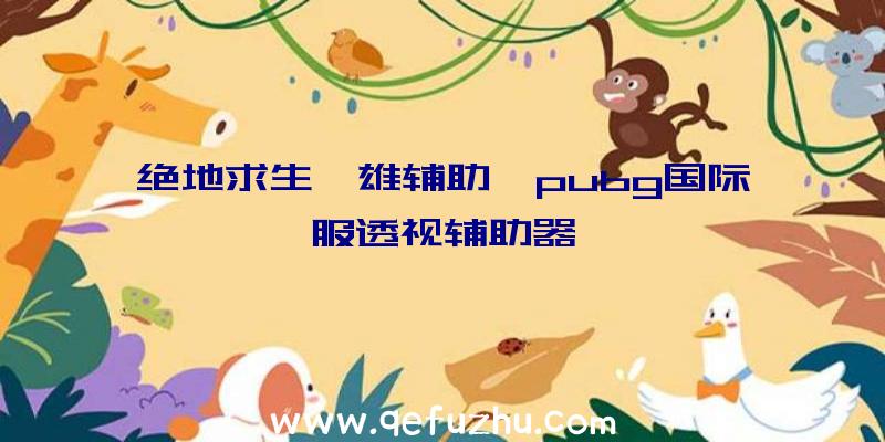 绝地求生袅雄辅助、pubg国际服透视辅助器