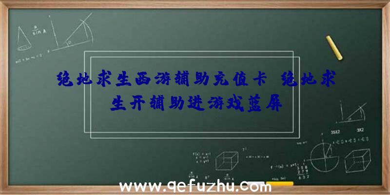 绝地求生西游辅助充值卡、绝地求生开辅助进游戏蓝屏