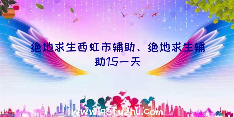 绝地求生西虹市辅助、绝地求生辅助15一天