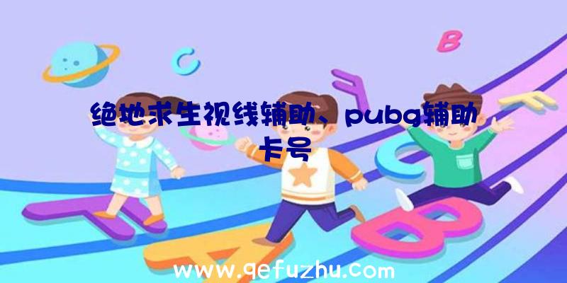 绝地求生视线辅助、pubg辅助卡号