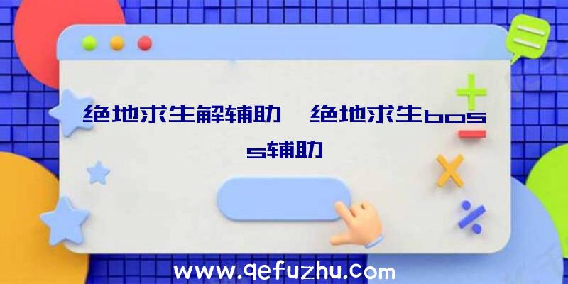 绝地求生解辅助、绝地求生boss辅助