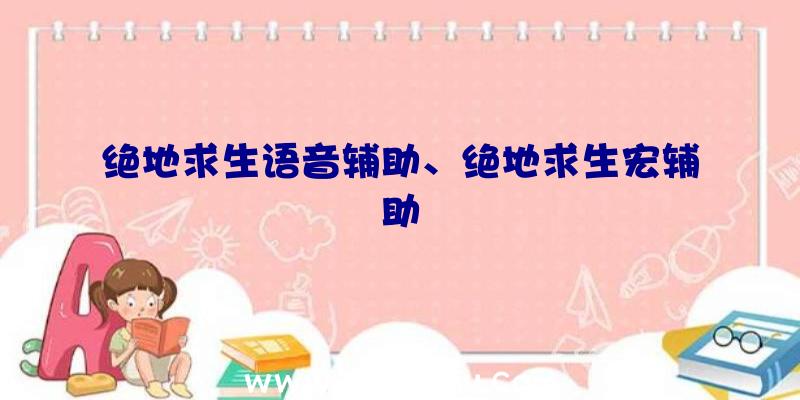 绝地求生语音辅助、绝地求生宏辅助