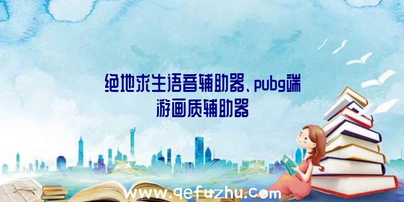 绝地求生语音辅助器、pubg端游画质辅助器