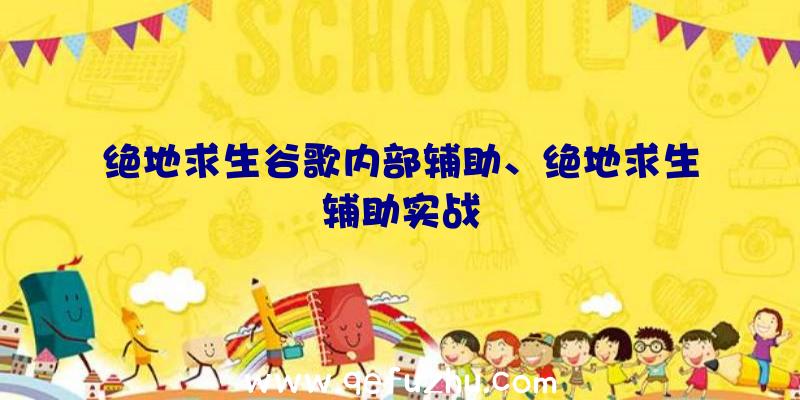 绝地求生谷歌内部辅助、绝地求生辅助实战