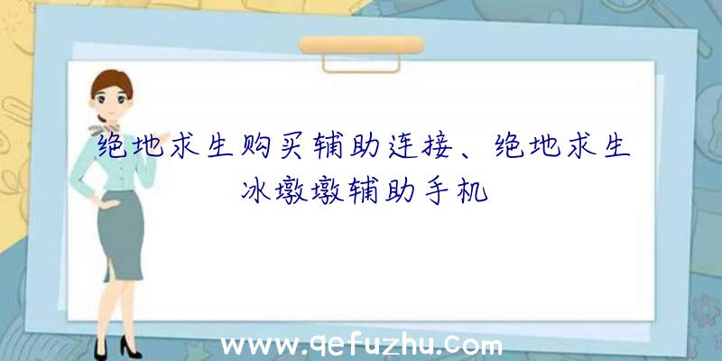 绝地求生购买辅助连接、绝地求生冰墩墩辅助手机